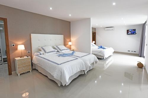 Superior Villa image 2
