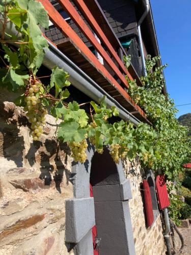 Ferienhaus Goldstück wohnen im Weinberg