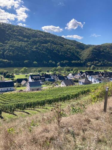 Ferienhaus Goldstück wohnen im Weinberg