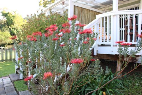 14 Mount Joy, Knysna (foto 7)