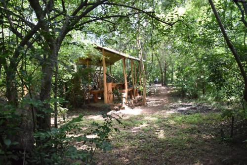 حديقة, Wilpattu Jungle Resort in متنزه ويلباتو الوطني