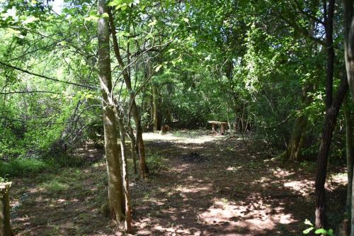 حديقة, Wilpattu Jungle Resort in متنزه ويلباتو الوطني