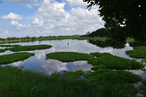 Wilpattu Jungle Resort in متنزه ويلباتو الوطني