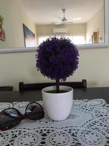 Little Cosy House @RB Little Cosy House @RB