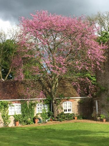 Beautiful Somerset Cottage with garden views.