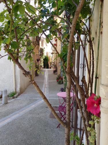 La Trémière, maison de village, sauna, vue garrigue