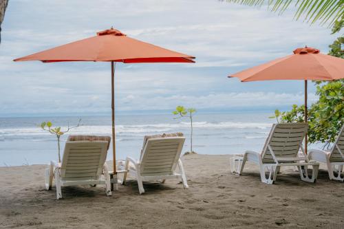 Dreamy Contentment Dreamy Contentment