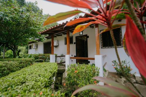 Dreamy Contentment Dreamy Contentment