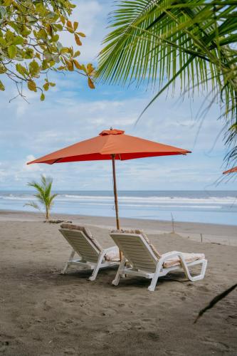 Dreamy Contentment Dreamy Contentment