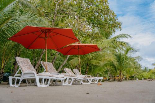 Dreamy Contentment Dreamy Contentment