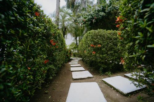 Dreamy Contentment Dreamy Contentment