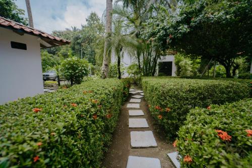 Dreamy Contentment Dreamy Contentment