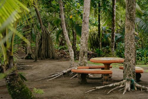 Dreamy Contentment Dreamy Contentment