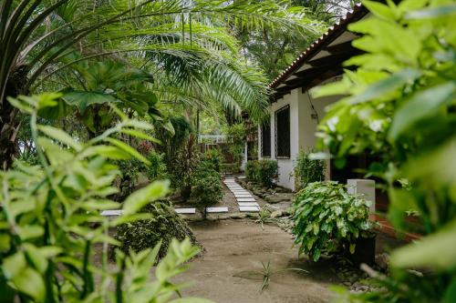 Dreamy Contentment Dreamy Contentment