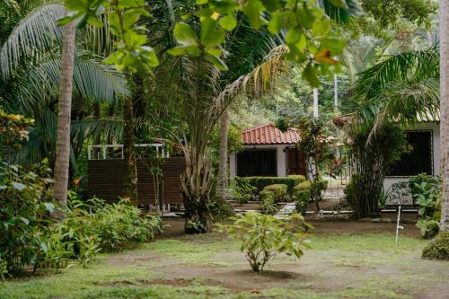 Dreamy Contentment Dreamy Contentment