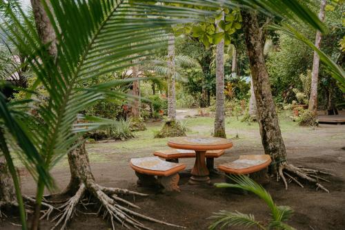 Dreamy Contentment Dreamy Contentment