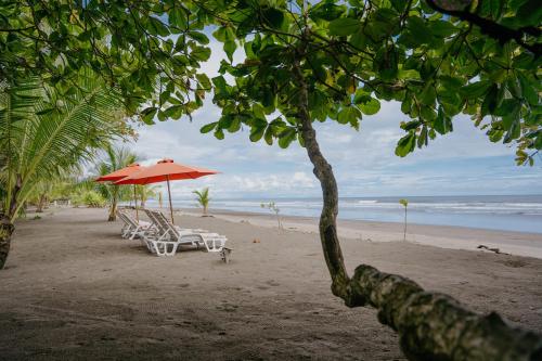 Dreamy Contentment Dreamy Contentment