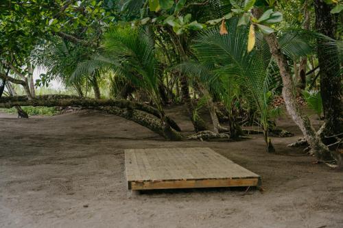 Dreamy Contentment Dreamy Contentment