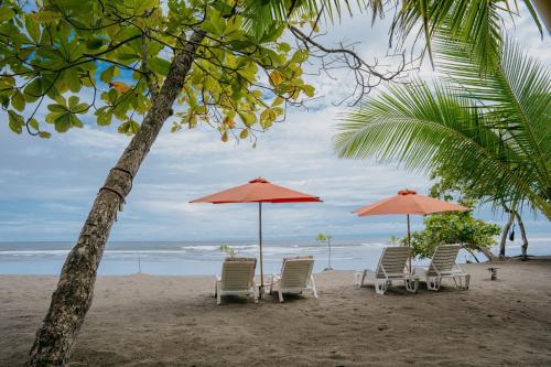 Dreamy Contentment Dreamy Contentment