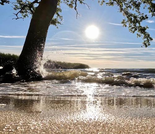Ferienwohnung SEA in Vogelsang, Deutschland