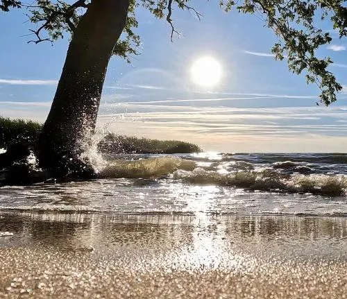 Ferienwohnung SEA in Vogelsang, Deutschland