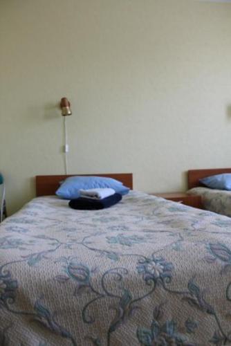 Kuressaare Airport Guest House - image 3