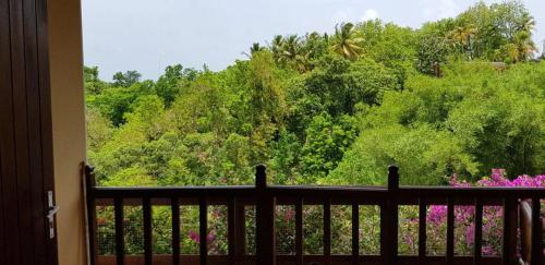 ガーデン, Les Villas du Bambou - Appartement AZUL de 1 à 3 pers (Les Villas du Bambou - Appartement AZUL de 1 a 3 pers) in ゴシエール