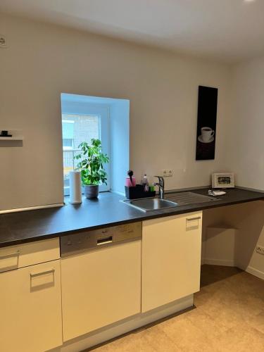 Das Haupthaus in 韦尼克