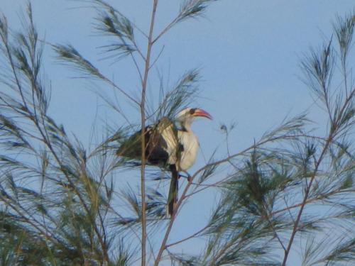 Bazouk Du Saloum Ecolodge