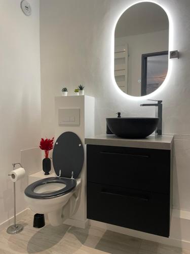 T2 rénové, jaccuzi, sauna, sièges massants, jardin, parking, métro, Тулуза (фото 6)
