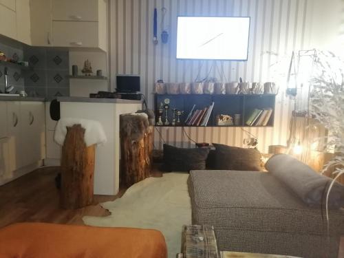 Aprtman Steva Krusevac