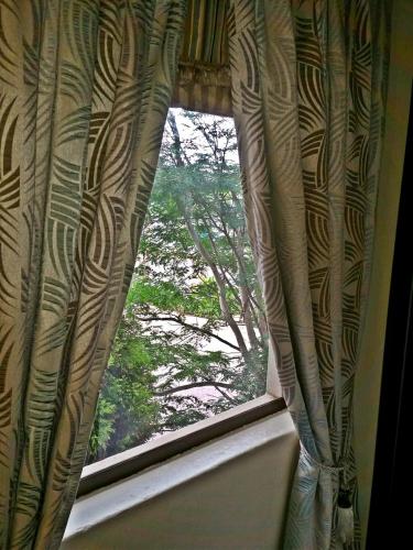Superior Double Room image 10