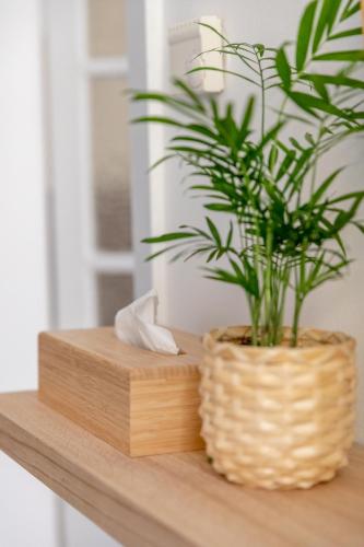One-Bedroom Apartment image 1