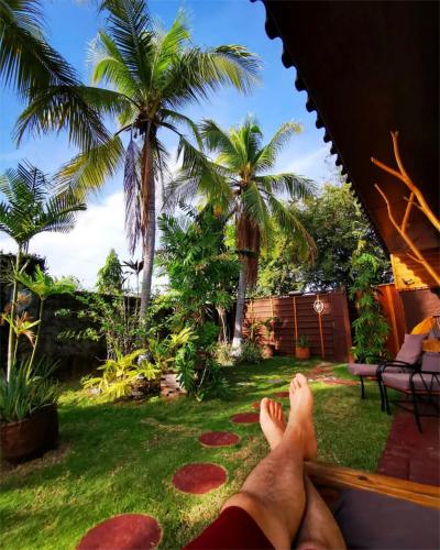 Casa Swell Coronado A unique blend of luxury and nature in the hearth of Coronado