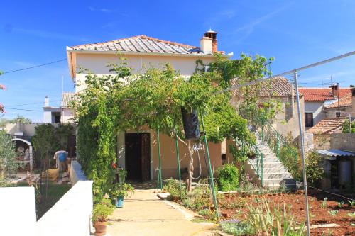  Apartments with a parking space Ugljan - 8416 in Ugljan