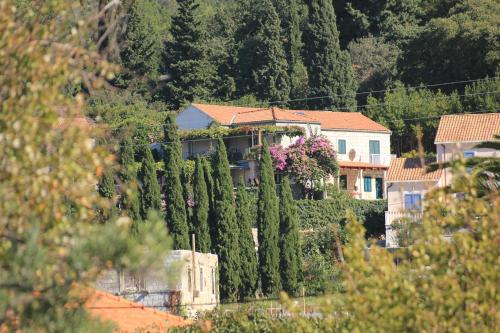  Apartments with a parking space Slano, Dubrovnik - 8540 in Slano