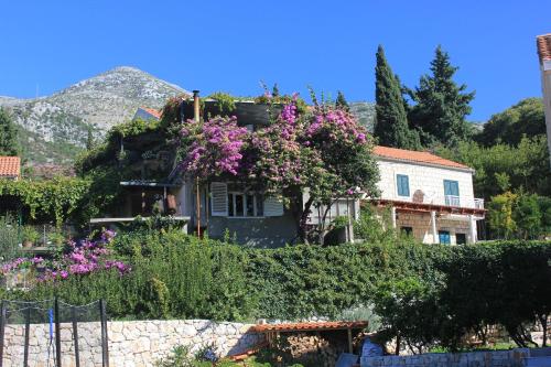  Apartments with a parking space Slano, Dubrovnik - 8540 in Slano