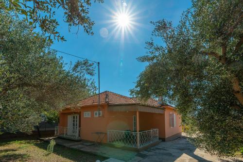  Apartments with a parking space Bibinje, Zadar - 12270 in Bibinje