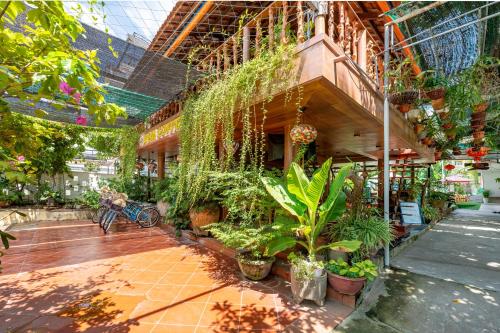 Alley Garden Homestay Hoi An, Хойан (фото 2)