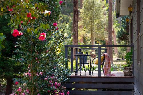Létesítmények, Selo Retreat- escape to this forest retreat in Wheatsheaf