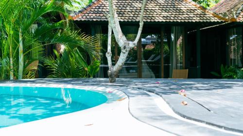 397484305 ONAYA Bali Resort - Adults Only