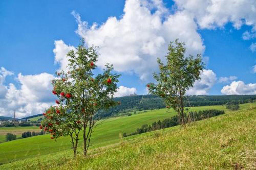 景觀, Pension Am Roten Hammer in 上維森塔爾