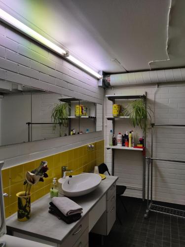 . Pikkukoti Lemmikki