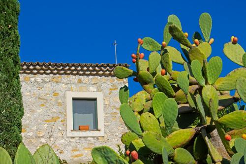 Limosa Country House