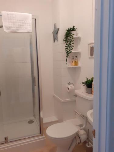 The Ivy Barn Holbeton