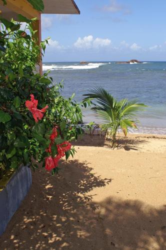 Veranda View Guesthouse