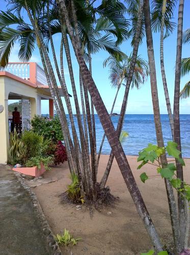 Veranda View Guesthouse