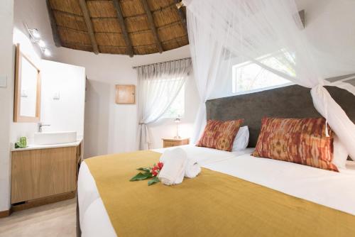 Sefapane Lodge and Safaris