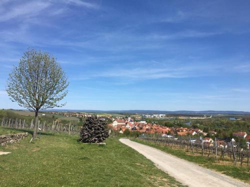 Häuschen in der Altstadt Dettelbach