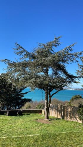 Maison vue exeptionnelle sur la mer - Location, gîte - Lancieux